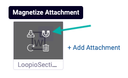Screen_Shot_of_a_Project_Entry_Attachment_with_the_Magnet_icon_Indicated.png